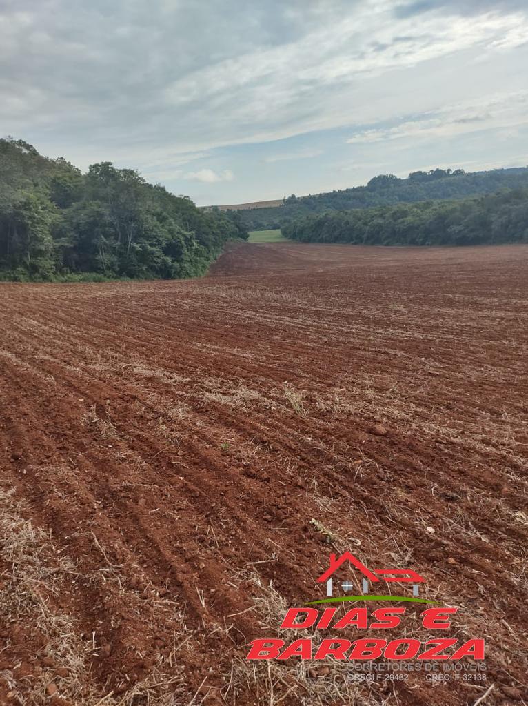 Dias e Barboza Corretores de Imveis em Ampre PR