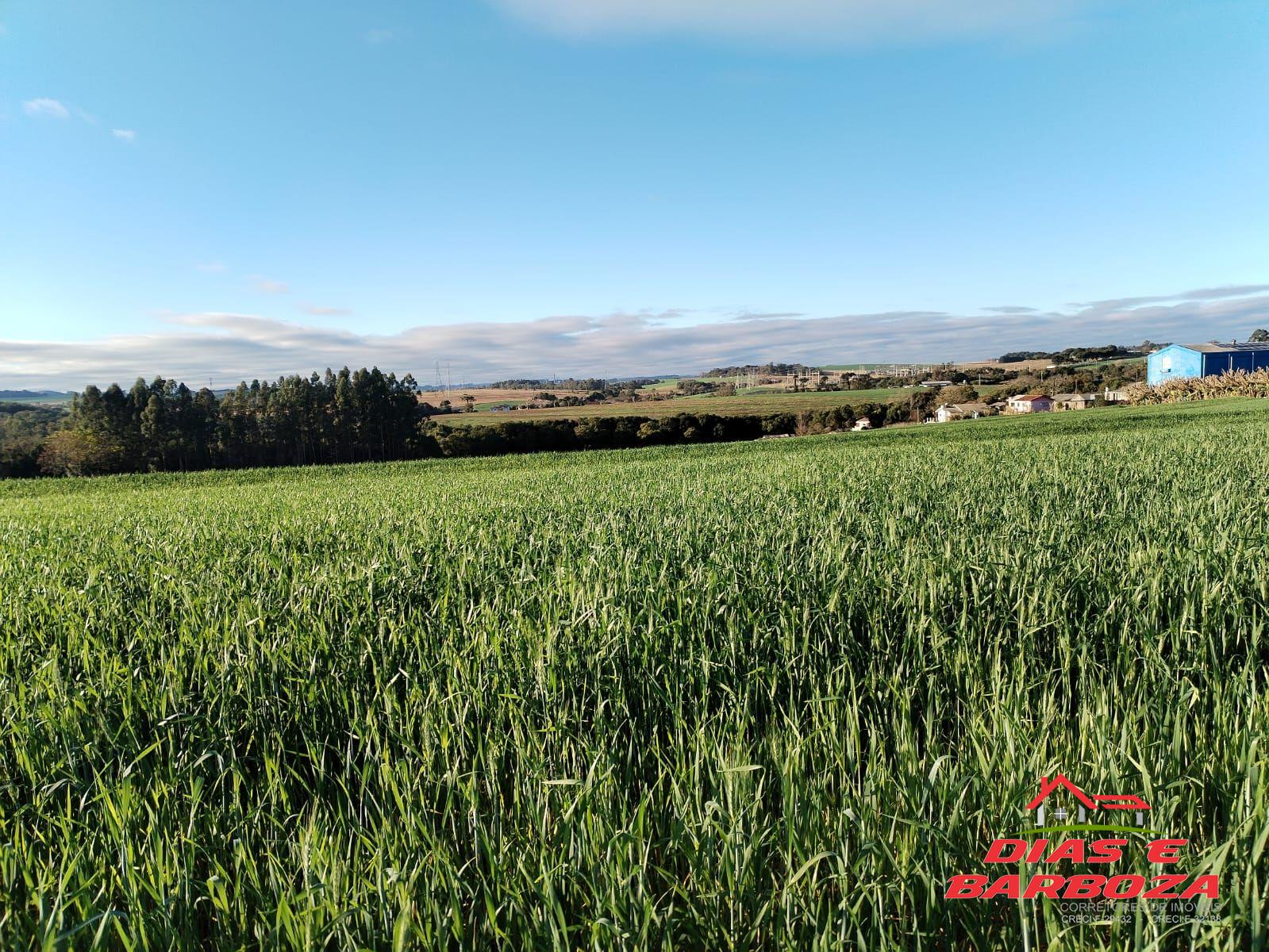 Terreno excelente para Loteamento residencial com 6 alq,  localizada em Realeza-
