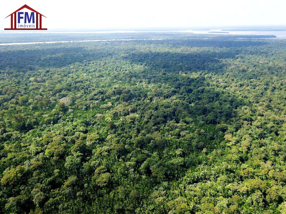Fazenda à venda - Foto 6