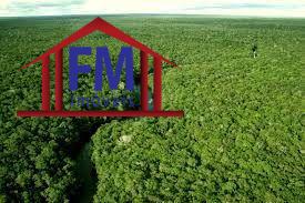 FM Imveis em Manaus AM