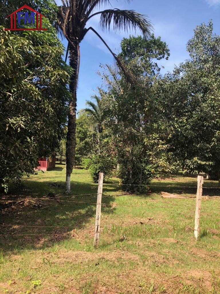 Sítio à venda - Foto 3