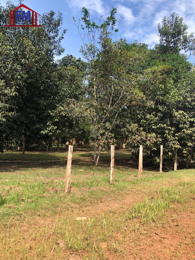 Sítio à venda - Foto 4