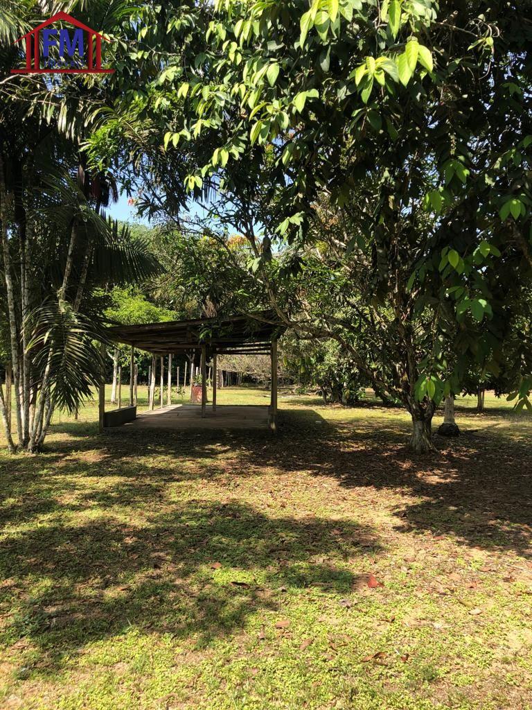 Sítio à venda - Foto 5