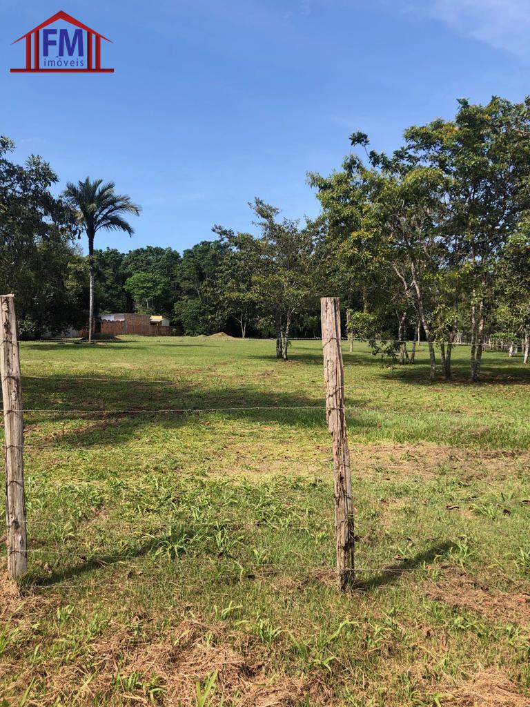 Sítio à venda - Foto 12