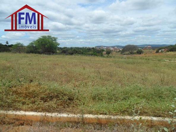 TERRENO 90 X 276  24.770 M, NA AV. NILTON LINS, 29.724.000 MANAUS-AM