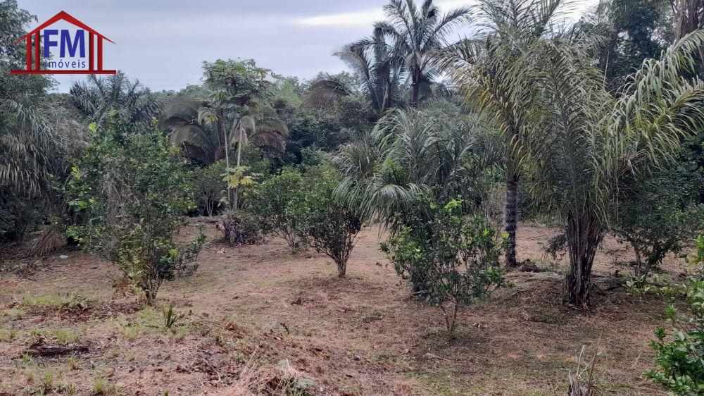 FM Imveis em Manaus AM