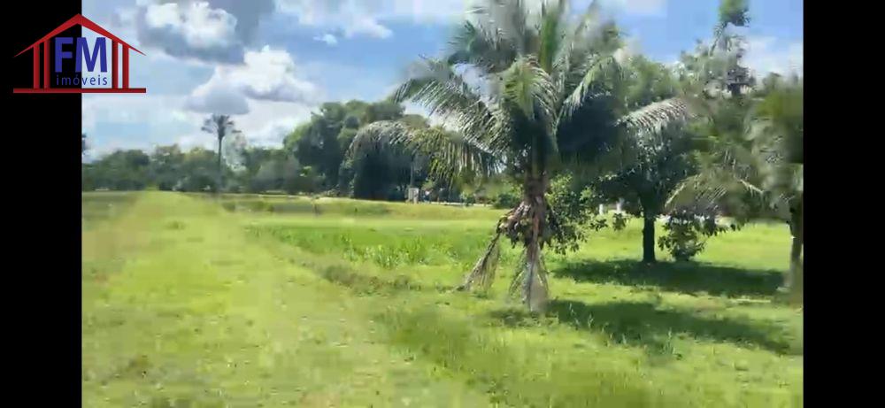 Sítio à venda com 4 quartos, 500m² - Foto 6