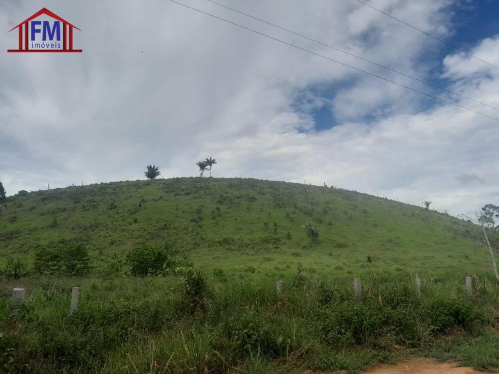 FAZENDA 500 X 2000  BR 174 KM 137     500.000