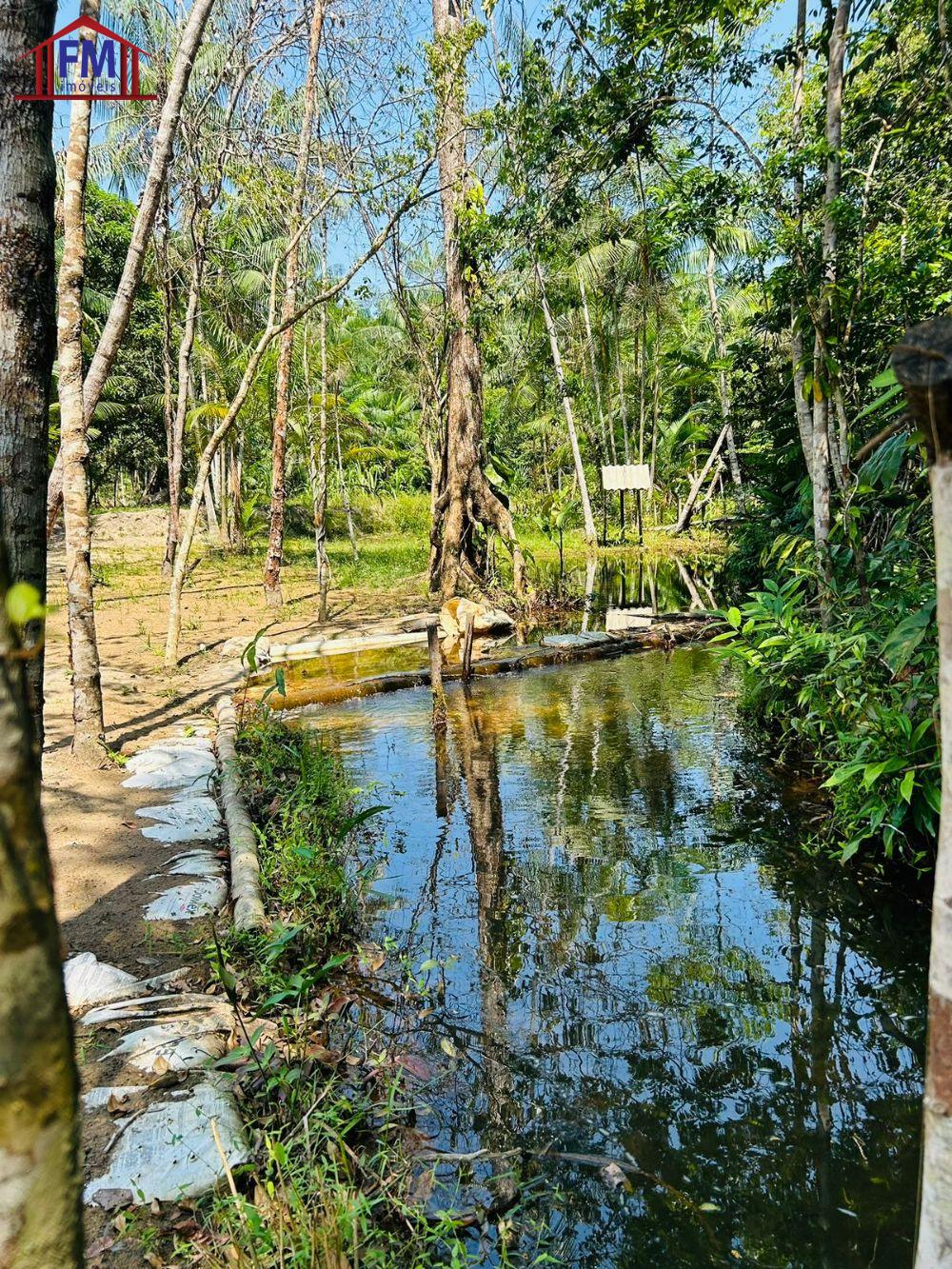 Sítio à venda - Foto 2