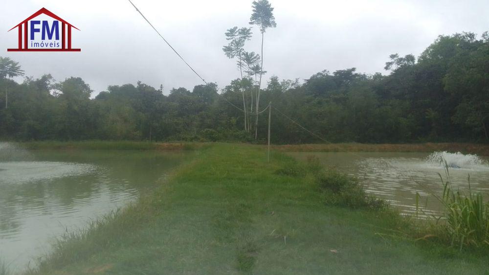 Sítio à venda com 5 quartos - Foto 8