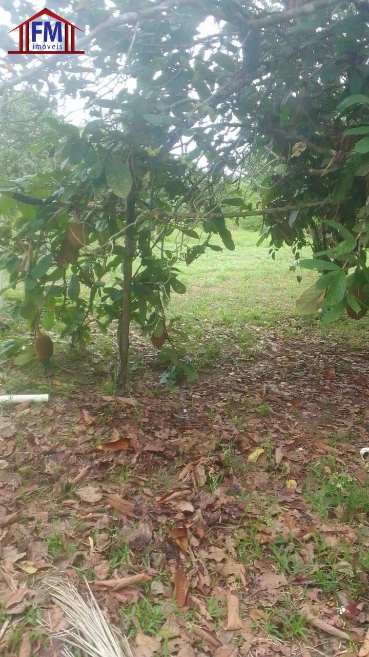 Sítio à venda com 5 quartos - Foto 12