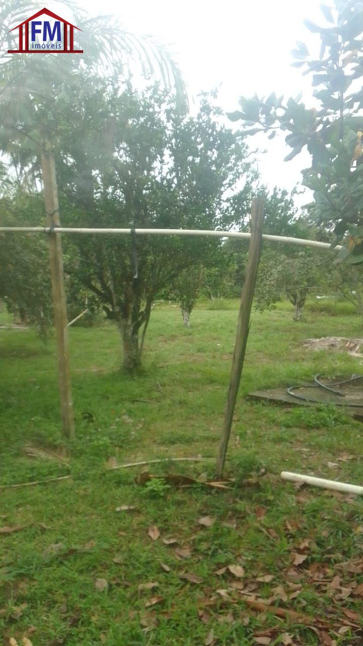Sítio à venda com 5 quartos - Foto 13