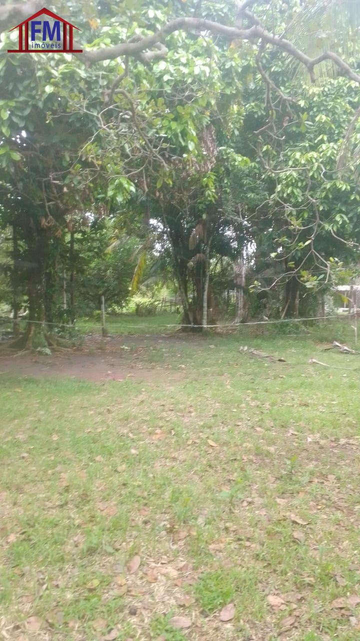 Sítio à venda com 5 quartos - Foto 14