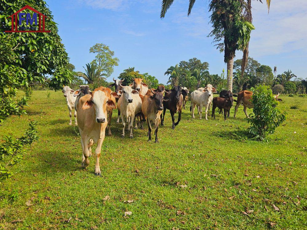 LINDA  FAZENDA EM AUTAZES  1.100.000,00