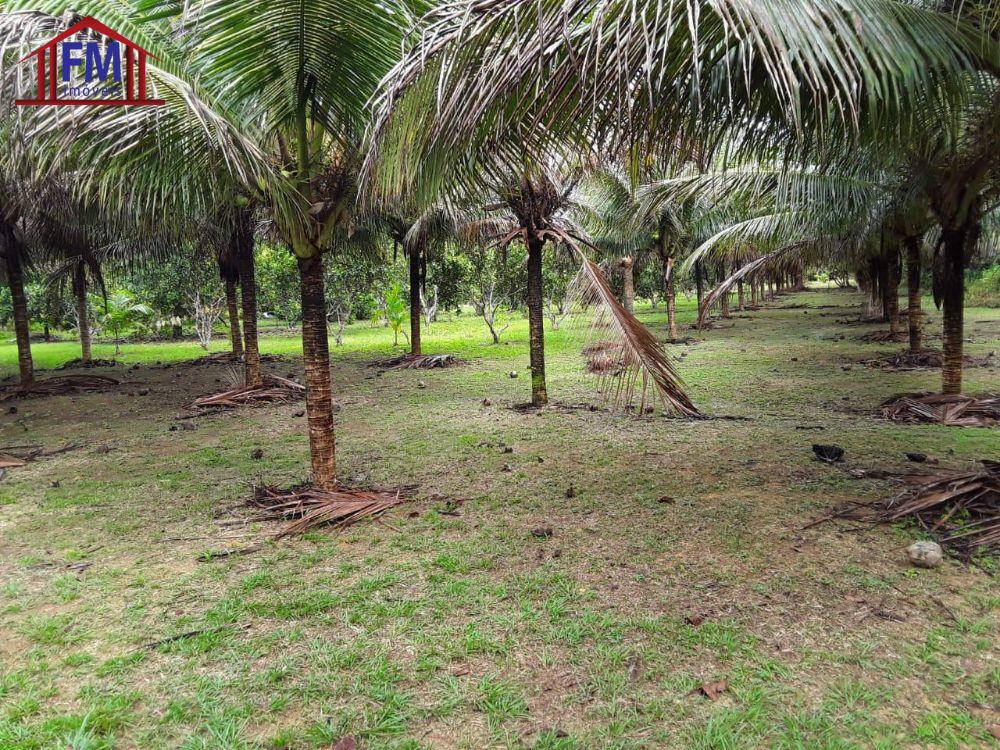 Sítio à venda - Foto 2
