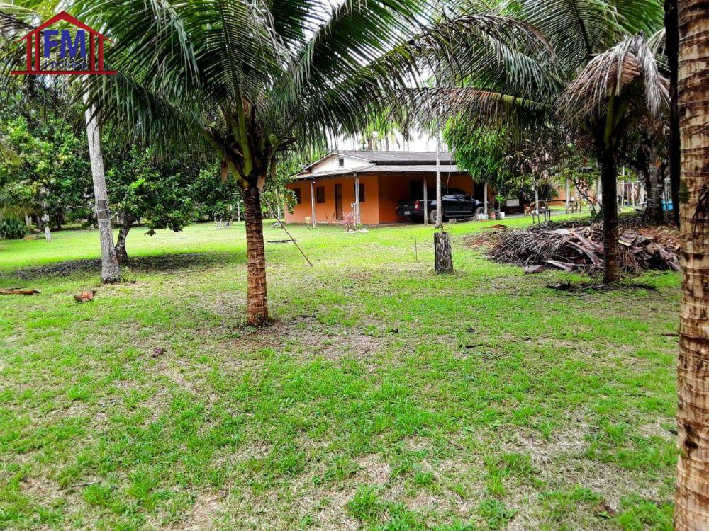 Sítio à venda - Foto 4