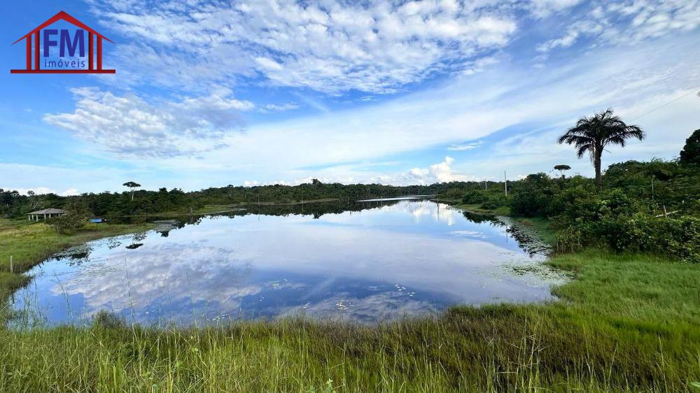 Sítio à venda - Foto 4