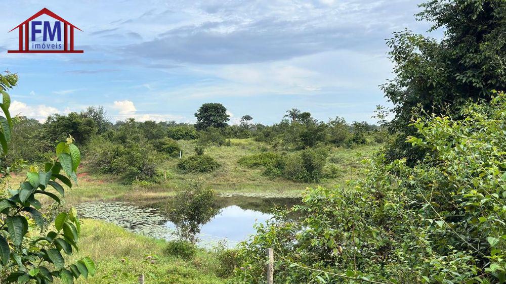 Sítio à venda - Foto 6