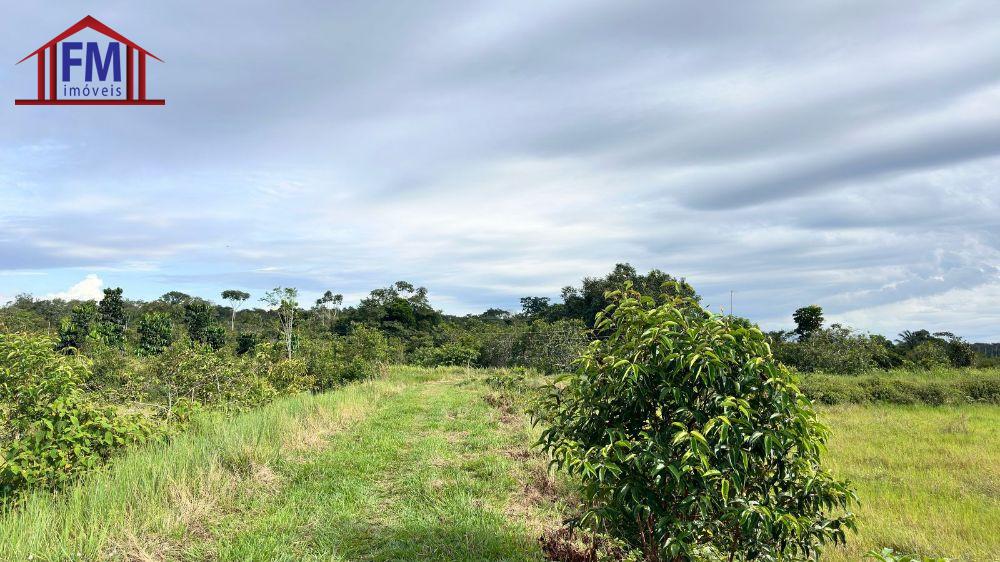 Sítio à venda - Foto 11