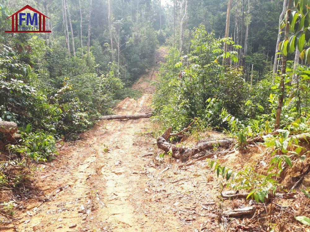Sítio à venda - Foto 4