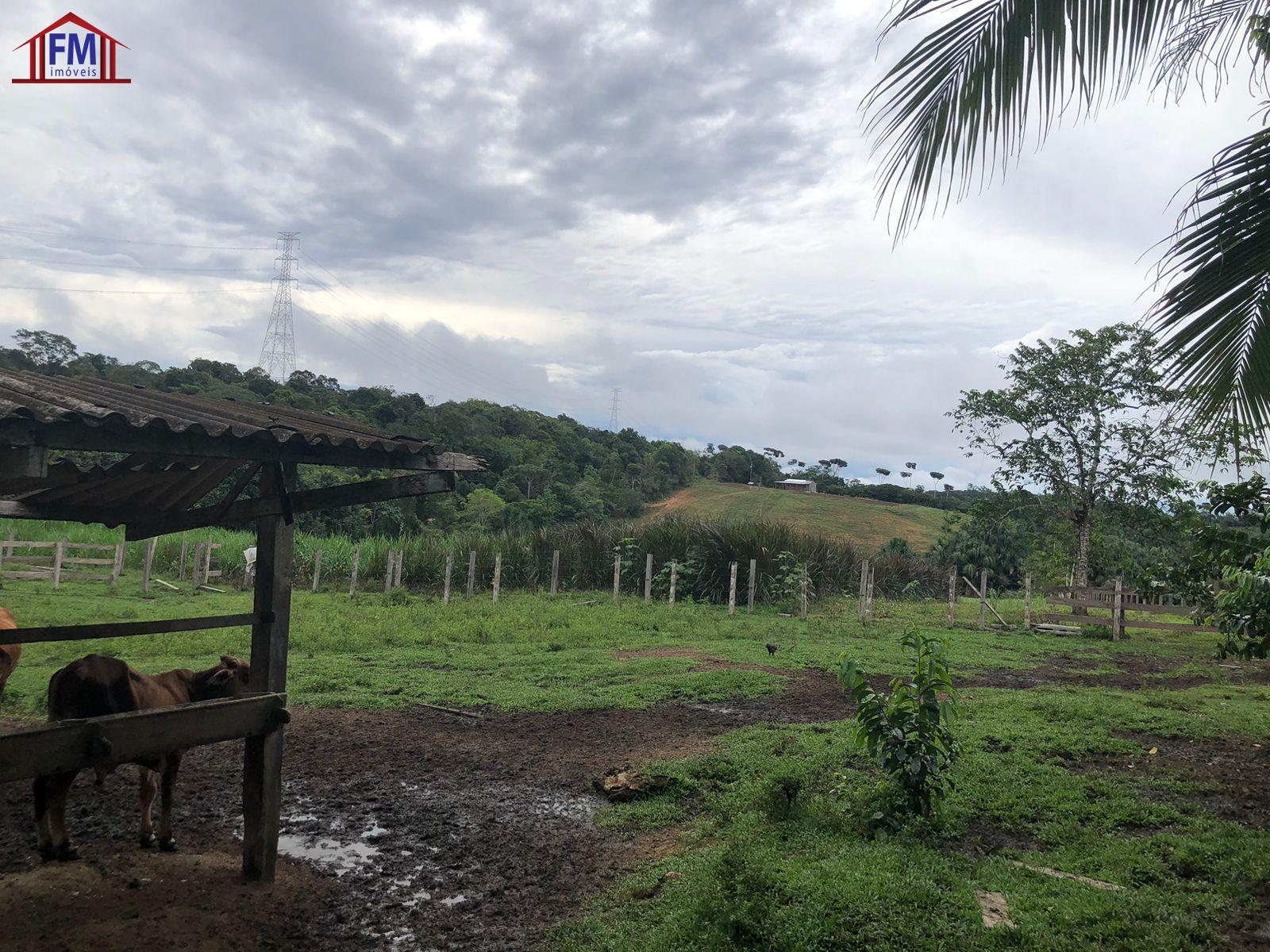 FM Imveis em Manaus AM