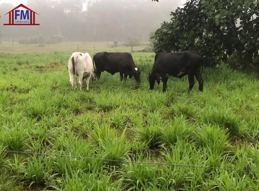 FAZENDA 22 HECTARES NA MANUEL URBANO 850.000,00