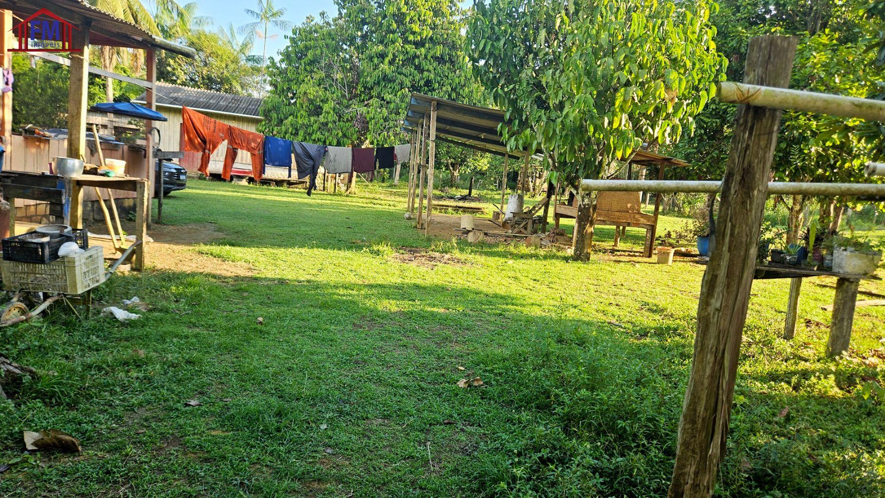 Sítio à venda - Foto 6