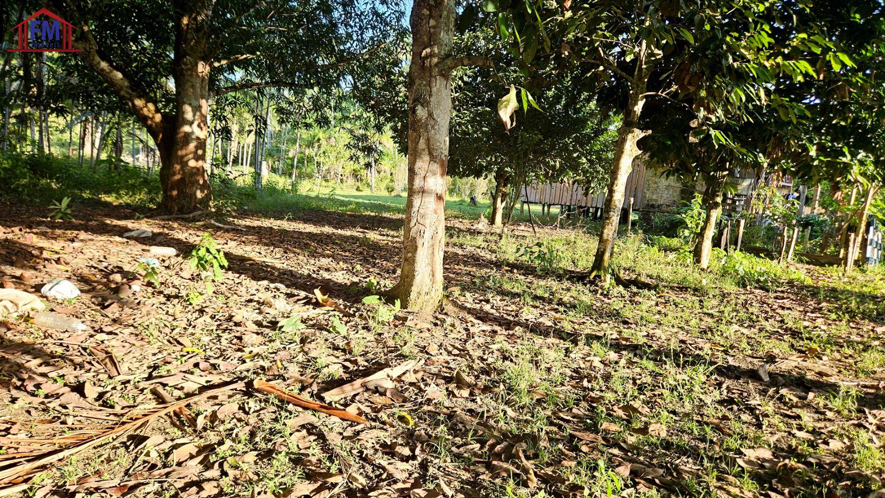 Sítio à venda - Foto 7