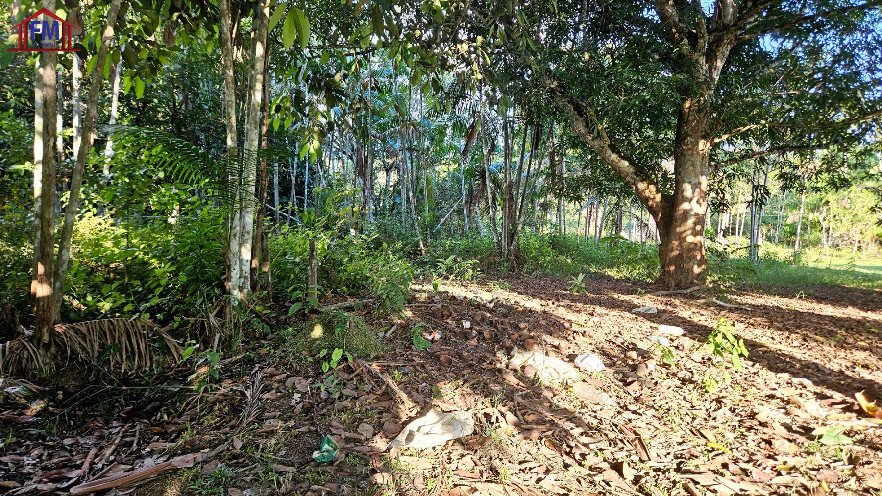 Sítio à venda - Foto 8