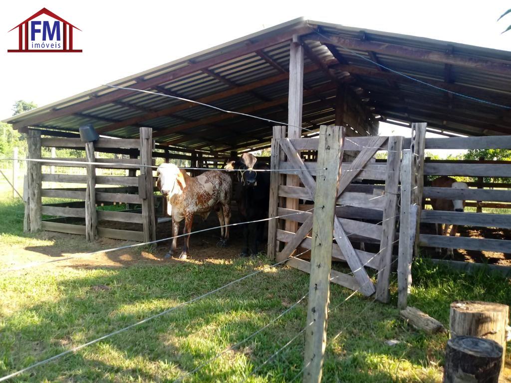 Fazenda - Foto 8
