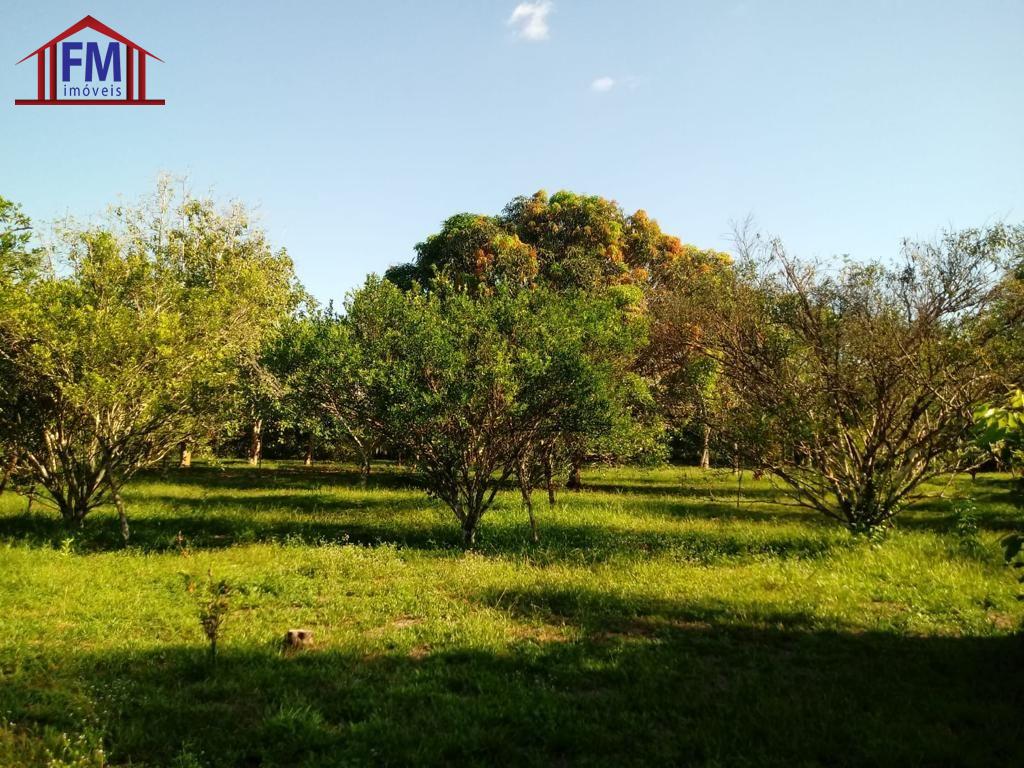 Fazenda-Sítio-Chácara, 6 quartos - Foto 2