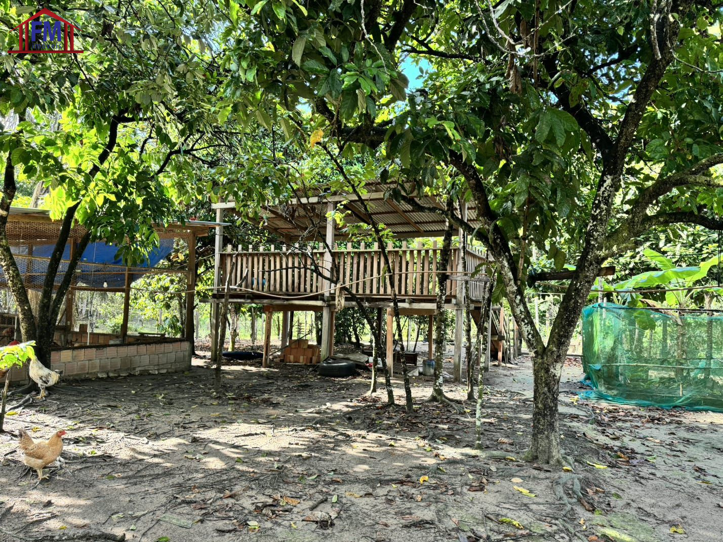 Sítio, 4 quartos, 600 m² - Foto 8