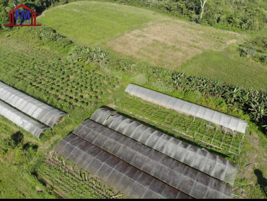 Fazenda - Foto 3
