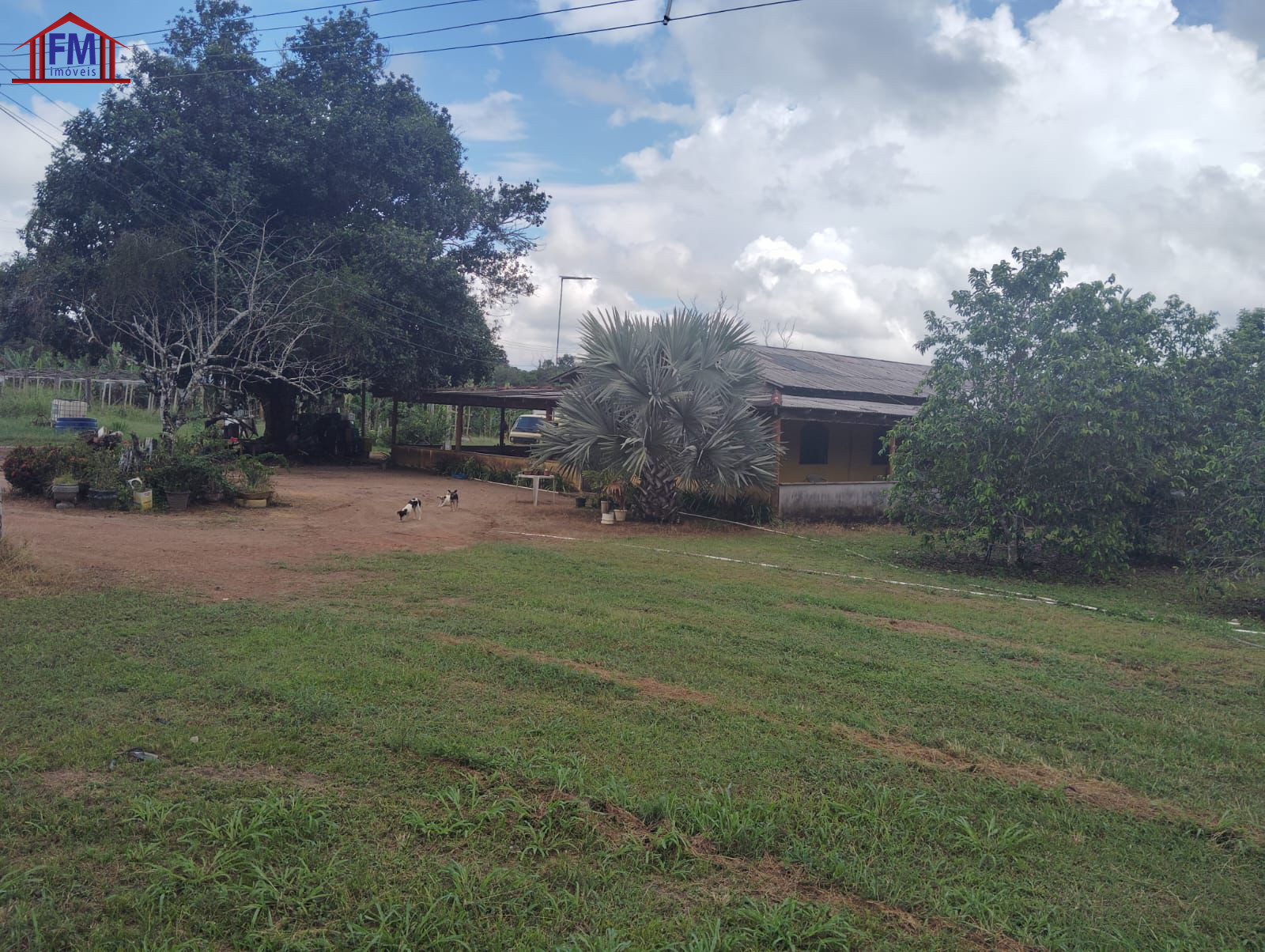 Fazenda - Foto 4