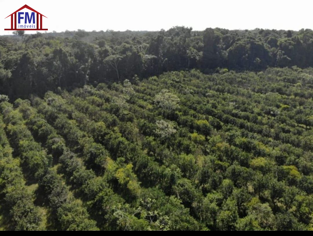 Fazenda - Foto 5