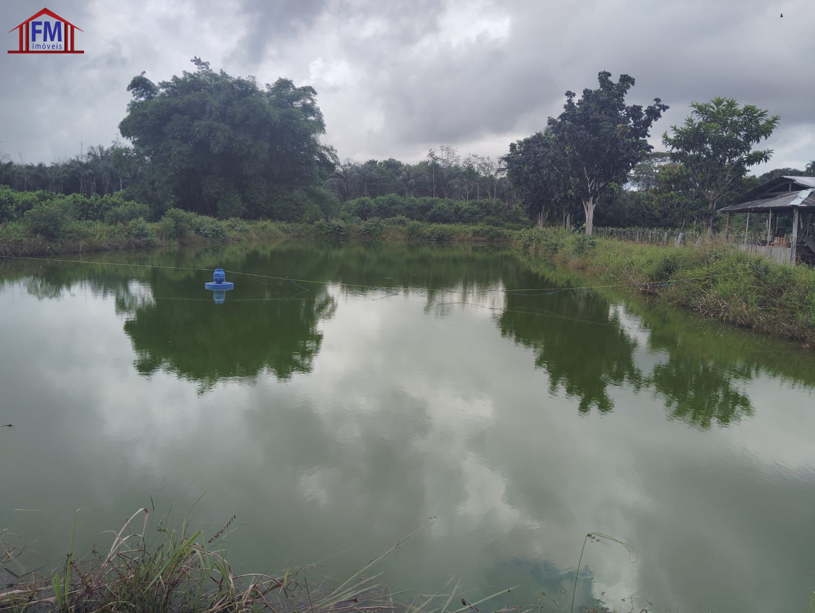 Fazenda - Foto 6