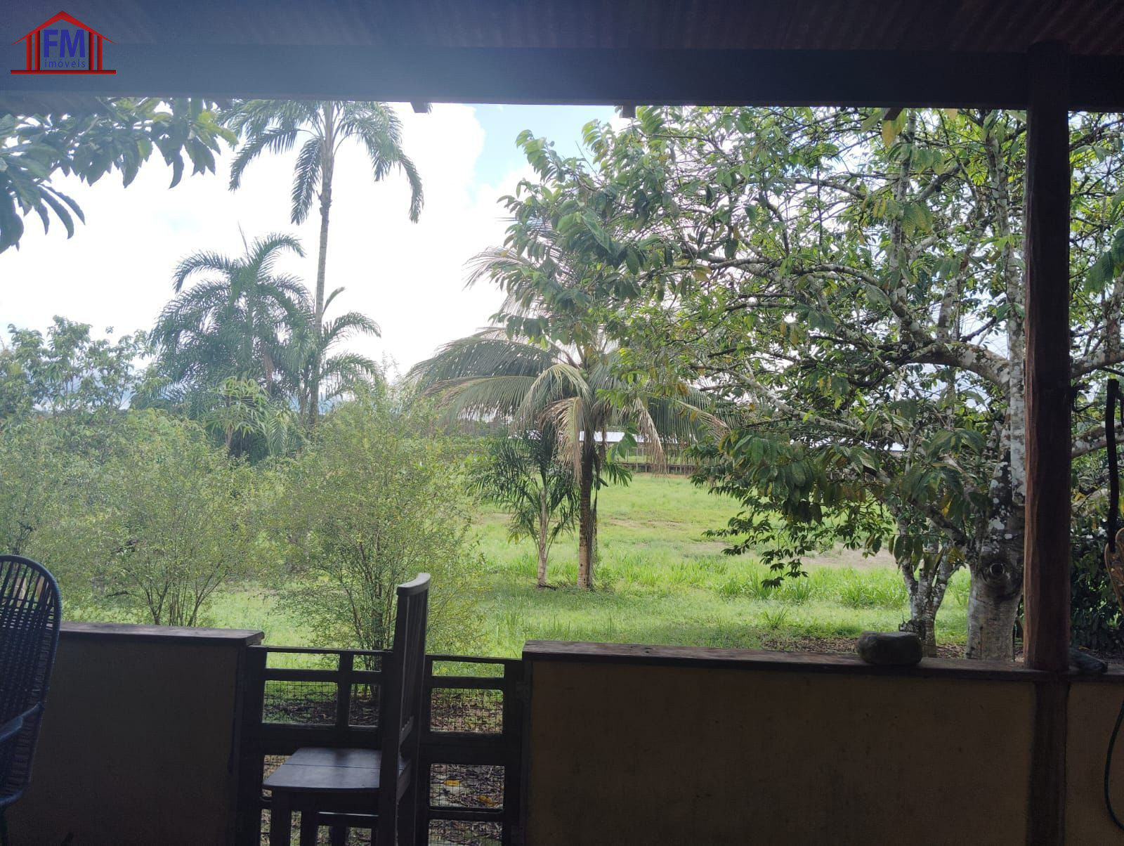 Fazenda - Foto 11