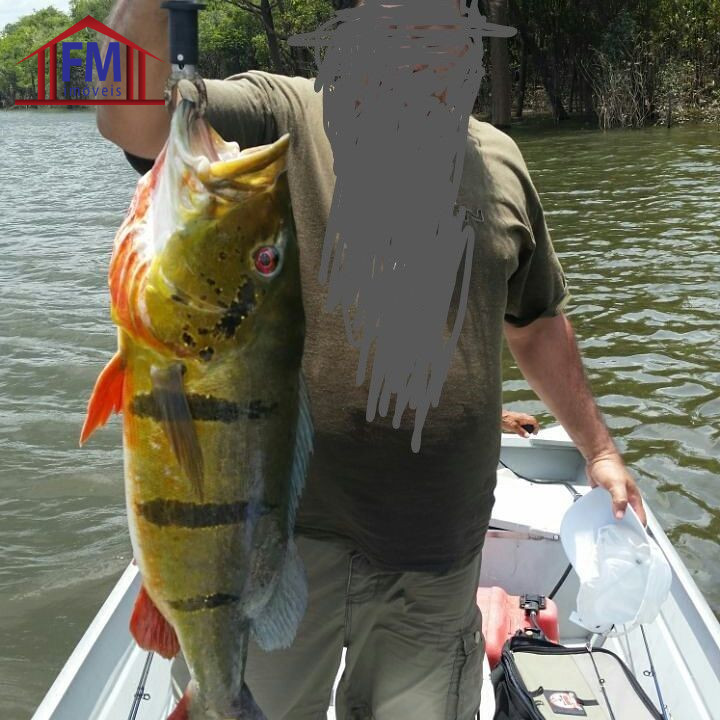 Fazenda - Foto 13