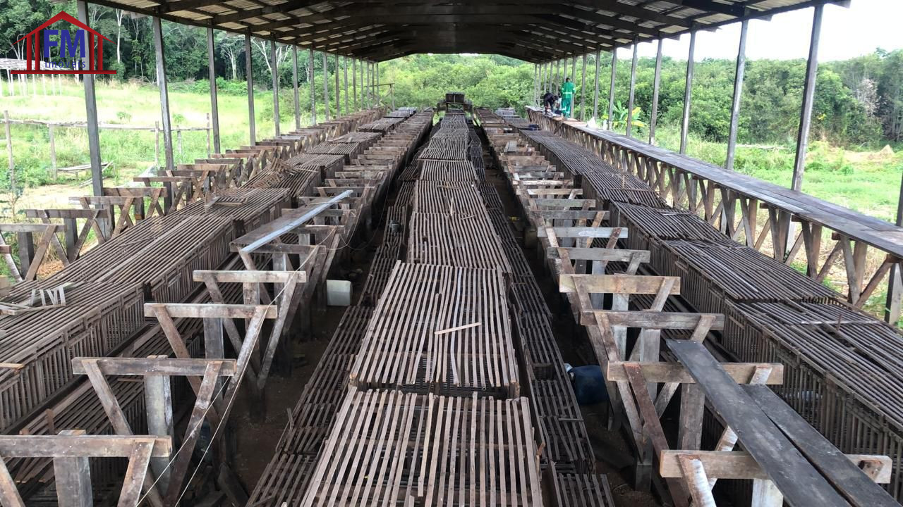 Fazenda - Foto 14