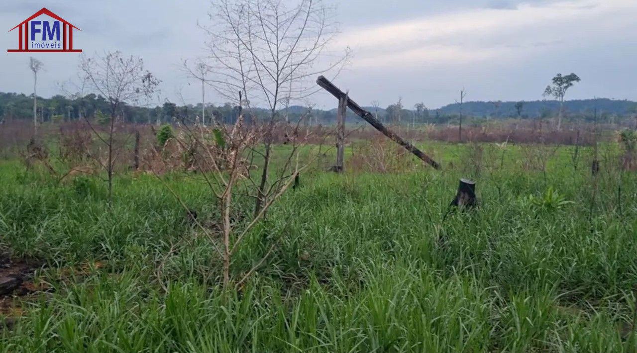 Fazenda - Foto 2