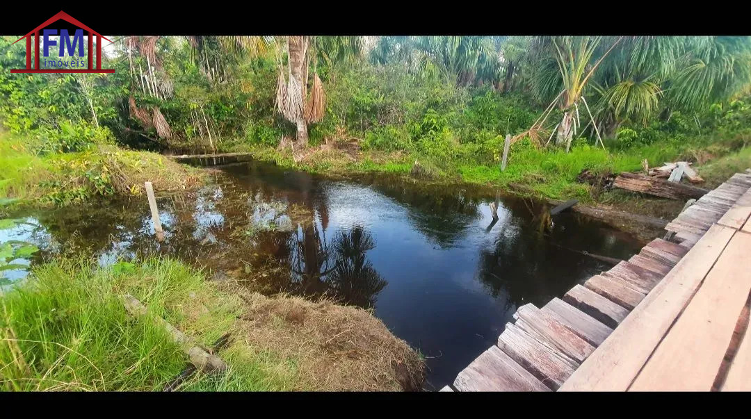 Fazenda - Foto 6