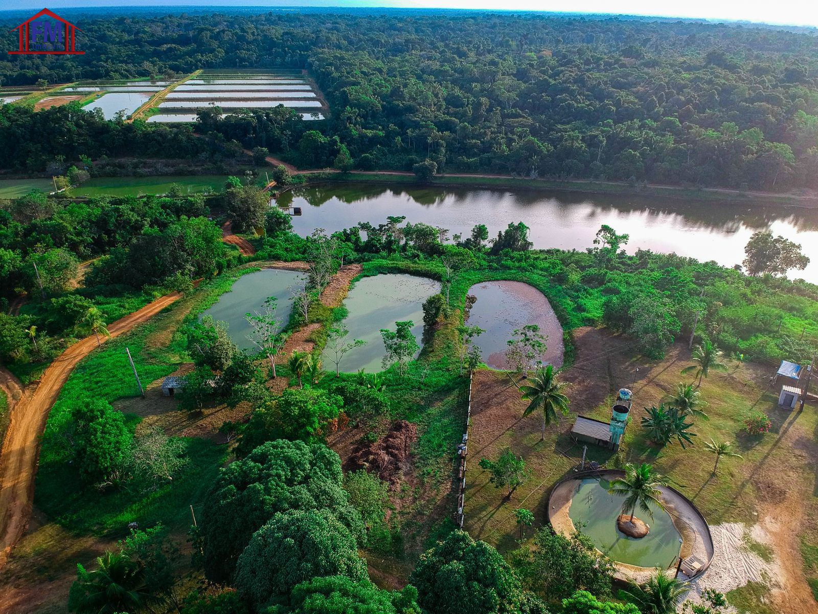 Fazenda - Foto 1