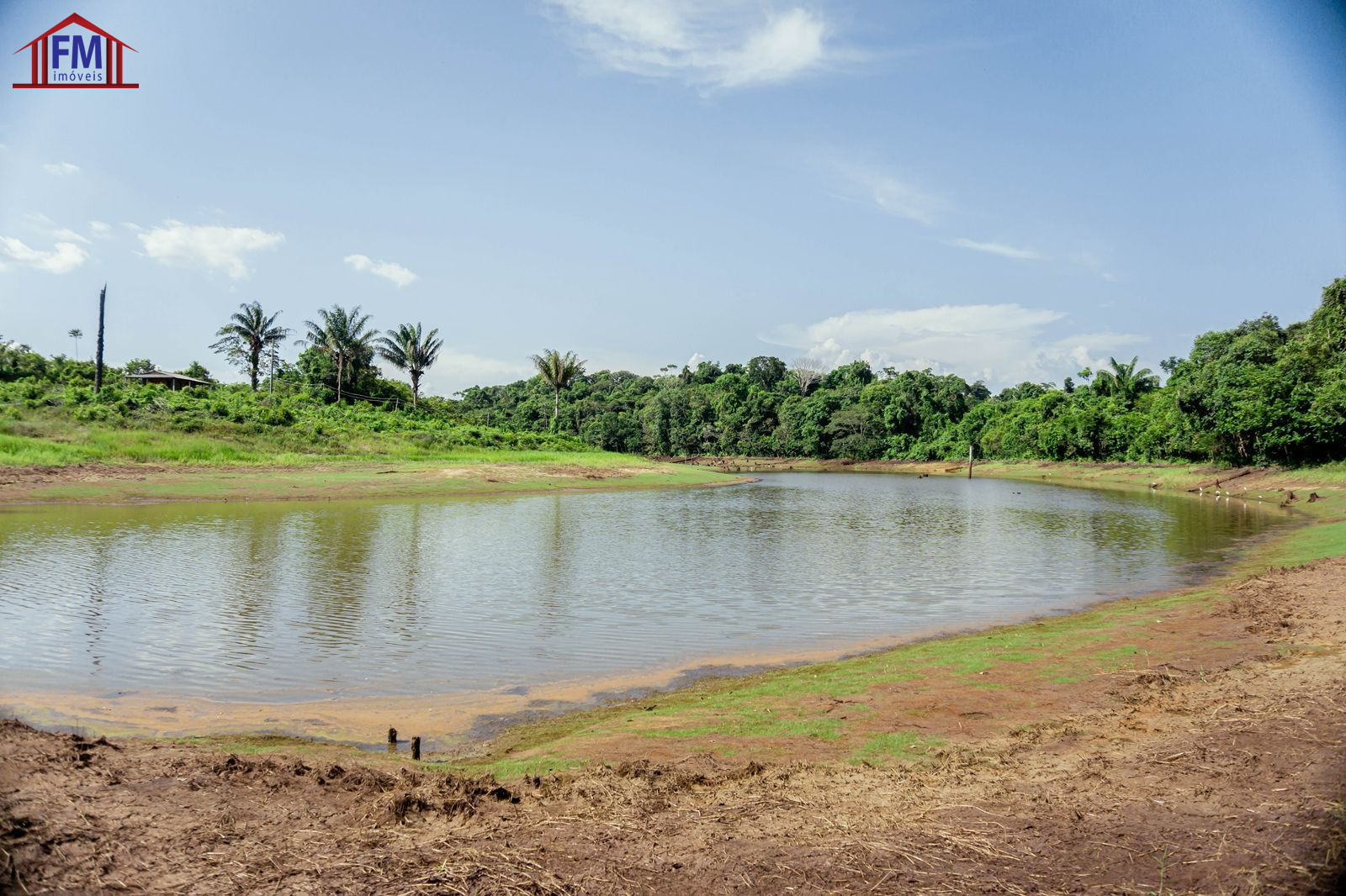 Fazenda - Foto 3