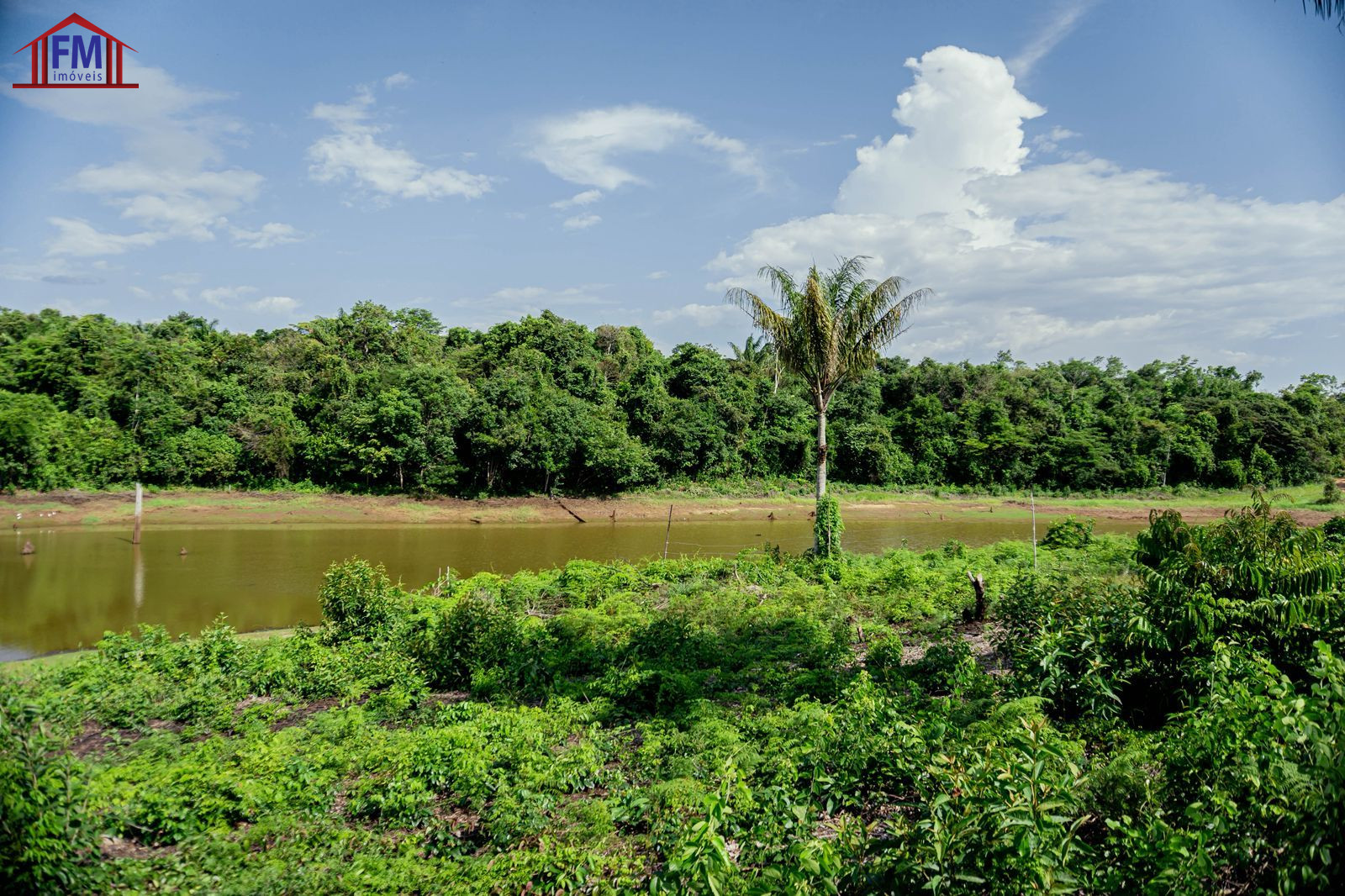 Fazenda - Foto 4