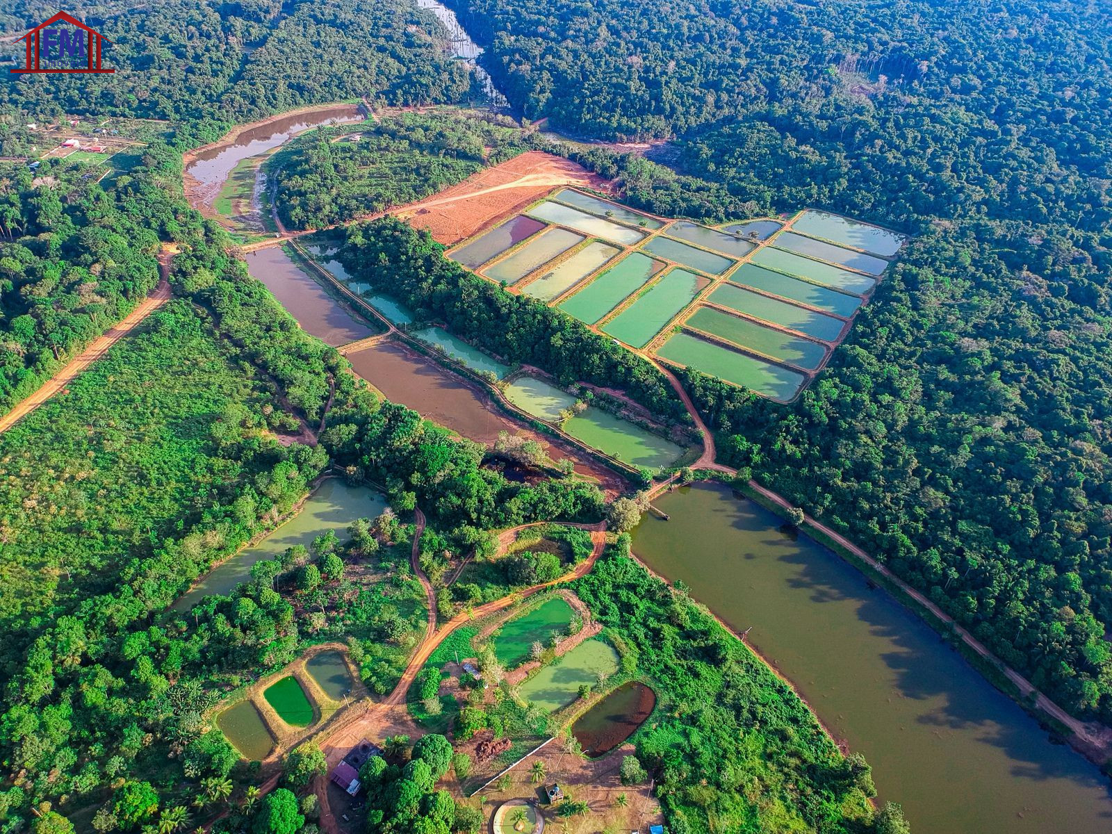 Fazenda - Foto 6