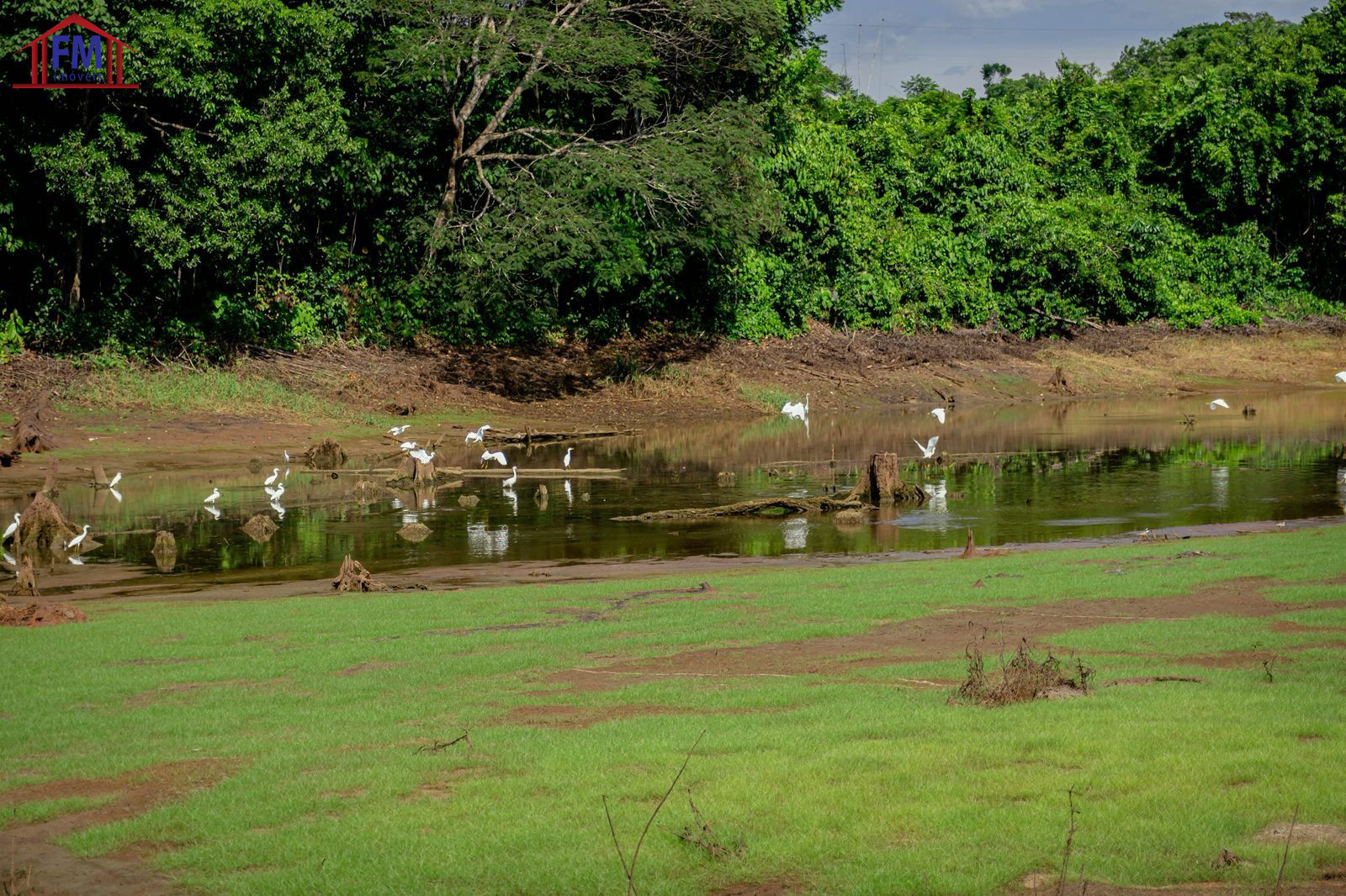 Fazenda - Foto 7