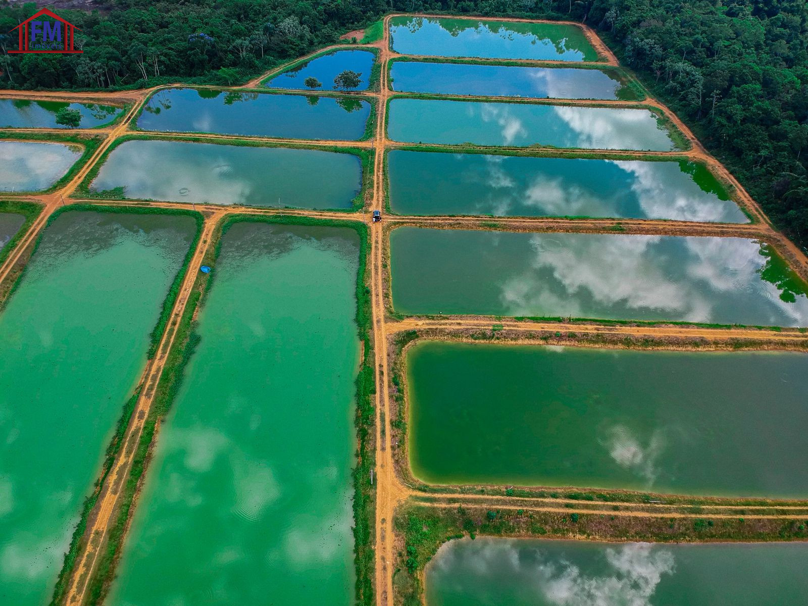 Fazenda - Foto 8
