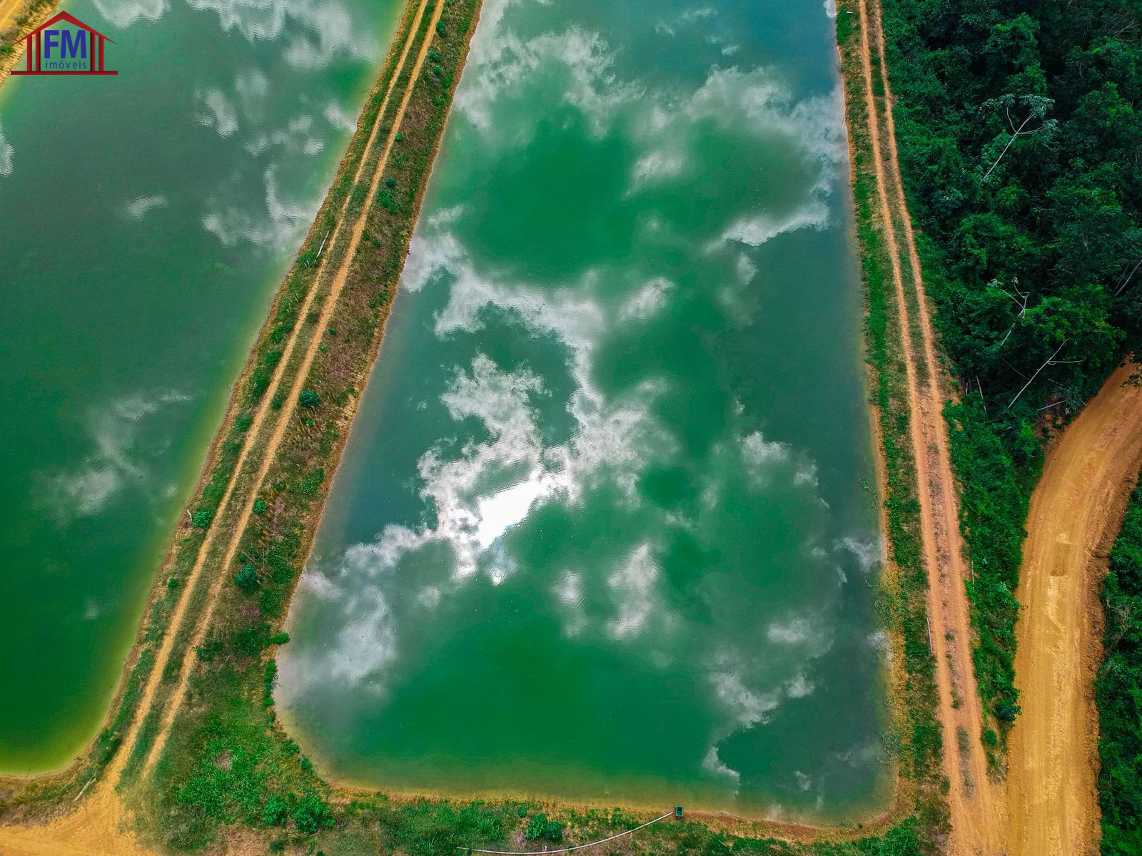 Fazenda - Foto 10