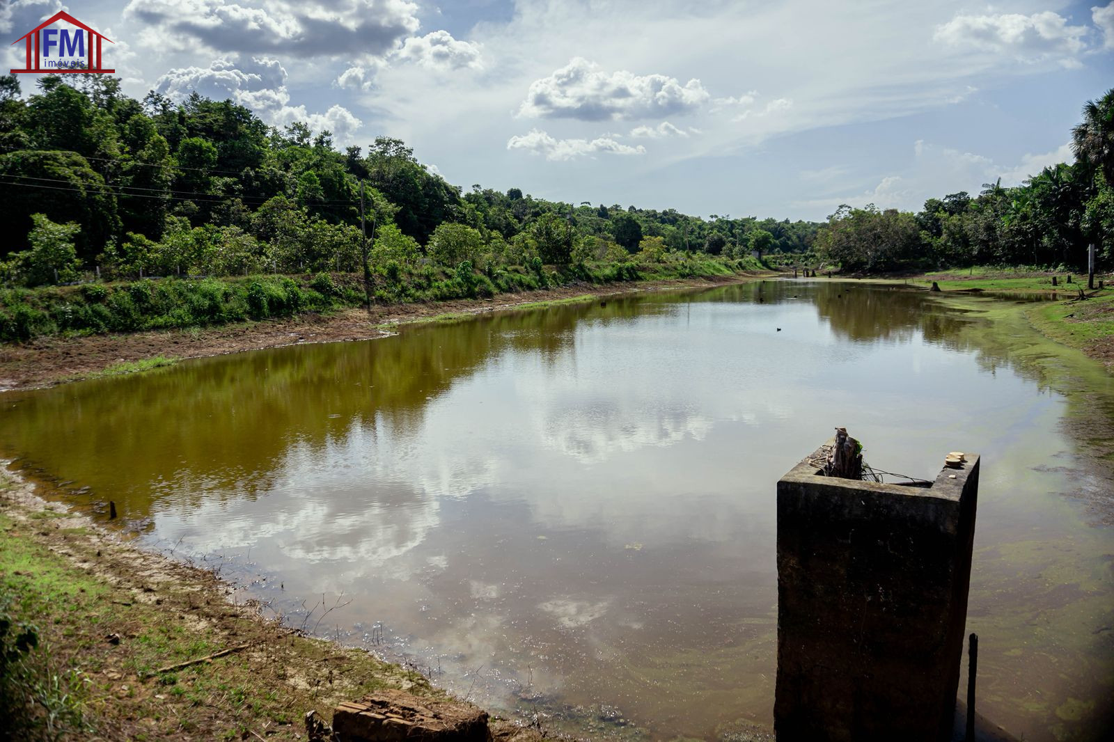 Fazenda - Foto 11