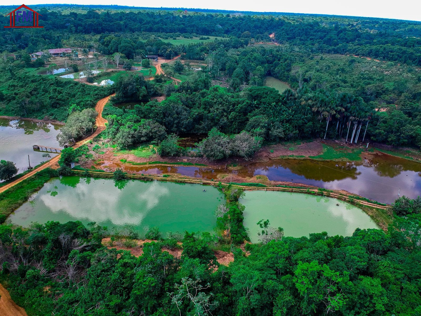 Fazenda - Foto 14